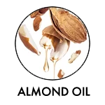Almond oil final