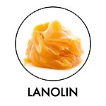 LANOLIN Final
