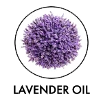 LAVENDER OIL SILVER BOOSTER INGREDIENT