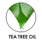 TEA TREE OIL SILVER BOOSTER INGREDIENT