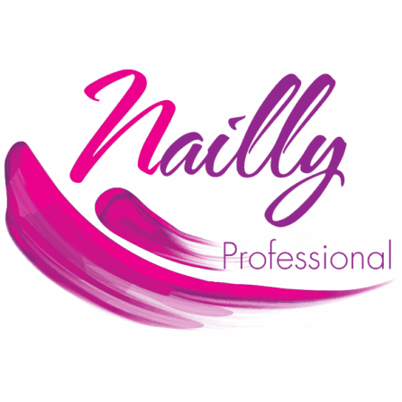 Nailly Logo Professional