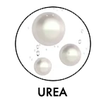 UREA FINAL