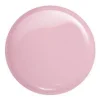 Light Rose #11